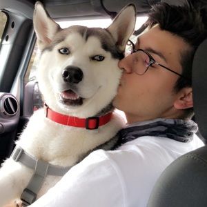 Meet your Posher, Angel